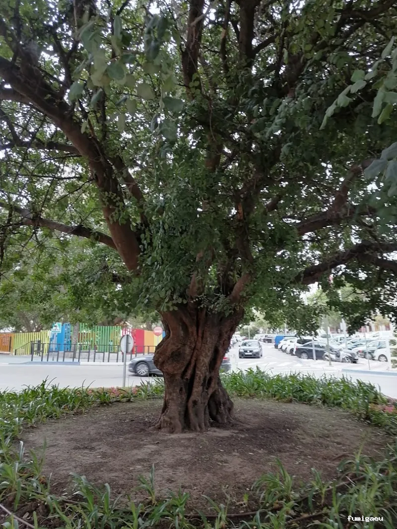 Aplicaciones Bioquímicas S.L.