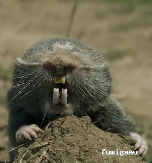 Aplicaciones Bioquímicas S.L.