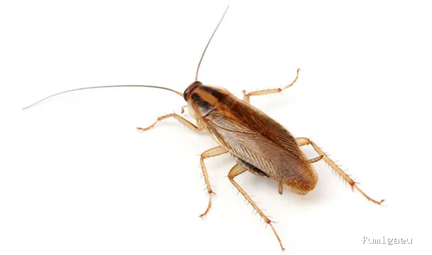 Aplicaciones Bioquímicas S.L.