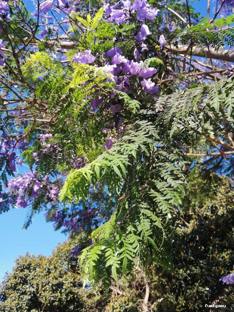 Aplicaciones Bioquímicas S.L.