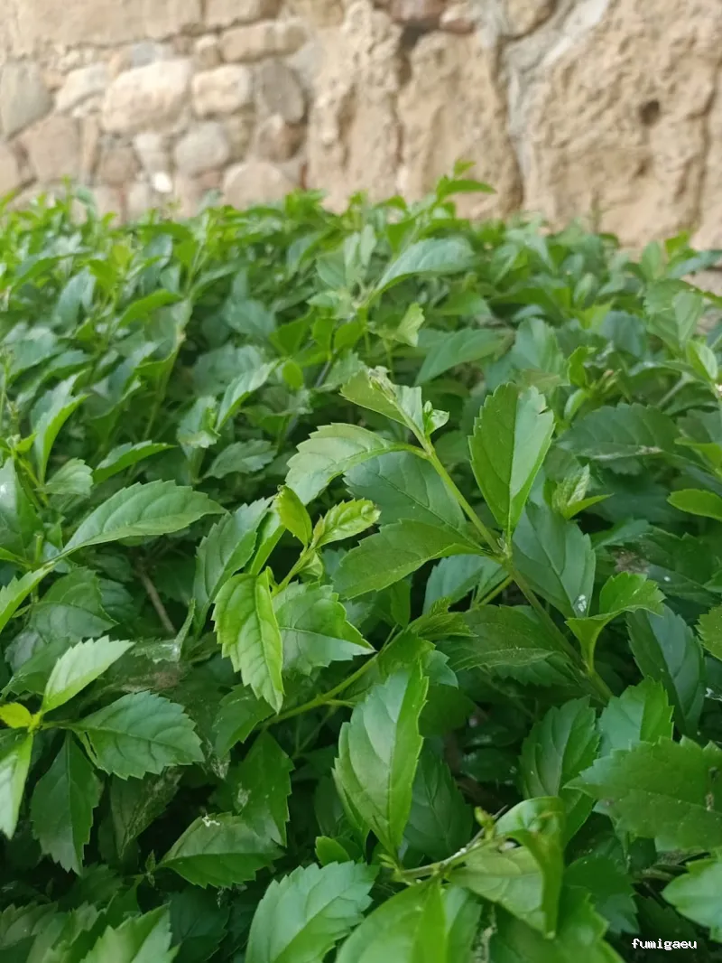 Aplicaciones Bioquímicas S.L.