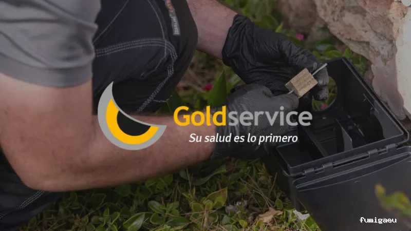 Goldservice Control de Plagas en Barcelona