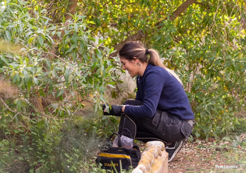 Goldservice Control de Plagas en Barcelona