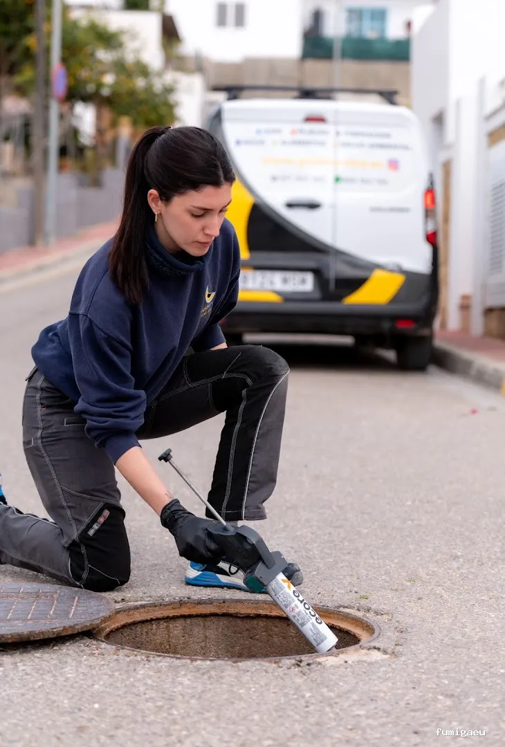 Goldservice Control de Plagas en Barcelona