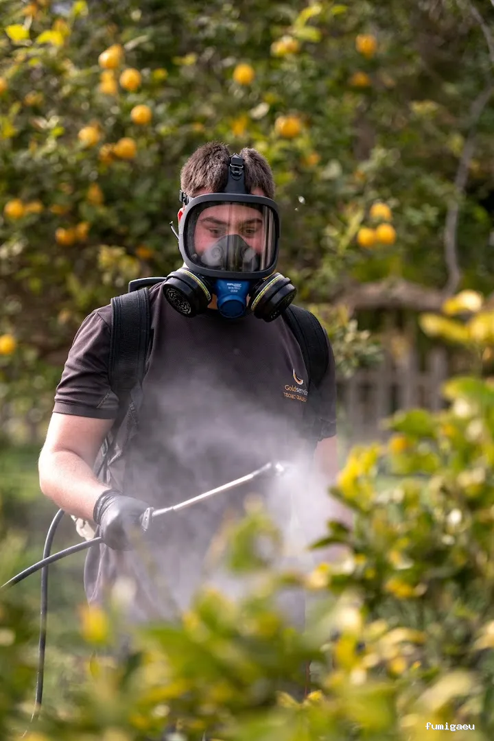 Goldservice Control de Plagas en Barcelona