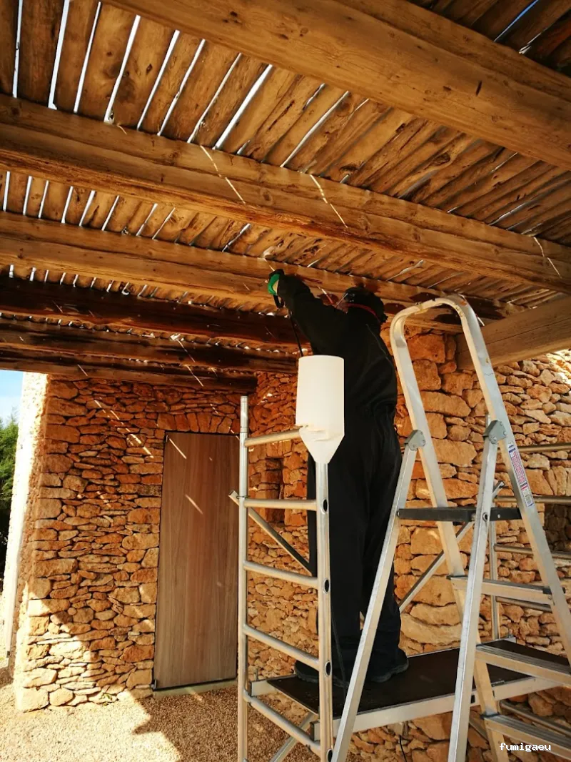 Goldservice Control de Plagas en Barcelona