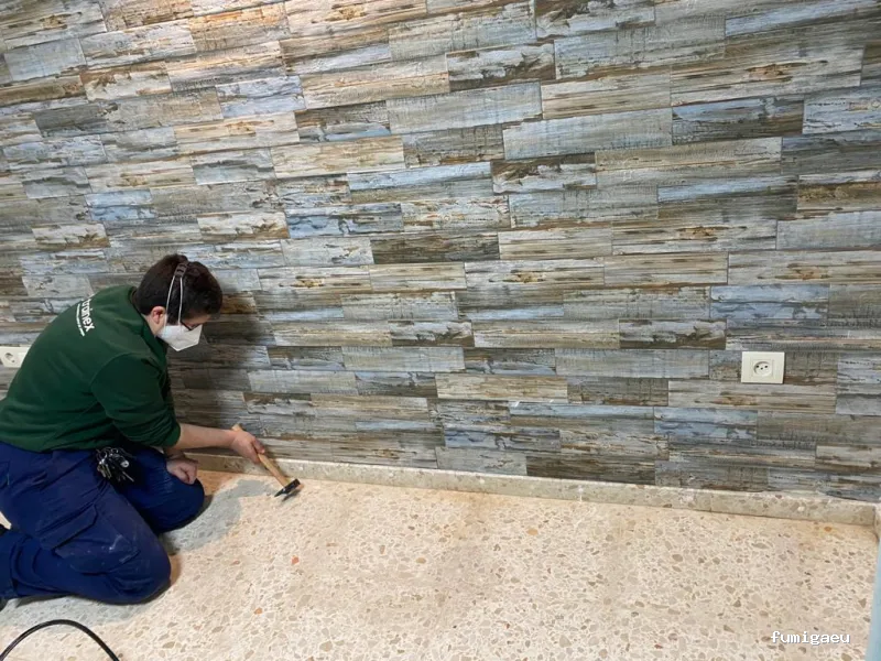 Trainex - Control de Plagas y Sanidad Ambiental