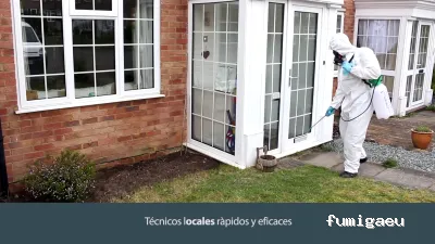 Rentokil Control De Plagas en Valencia