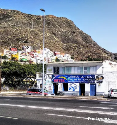 Desinsectaciones Hayek