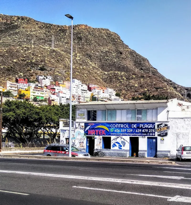 Desinsectaciones Hayek