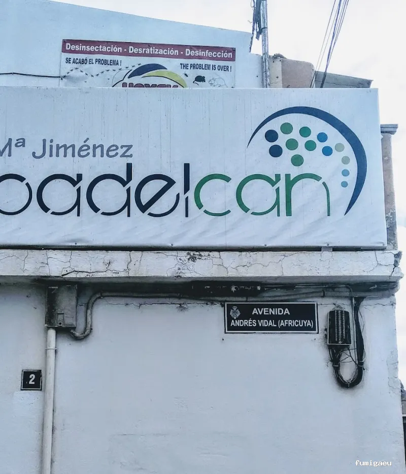 Desinsectaciones Hayek