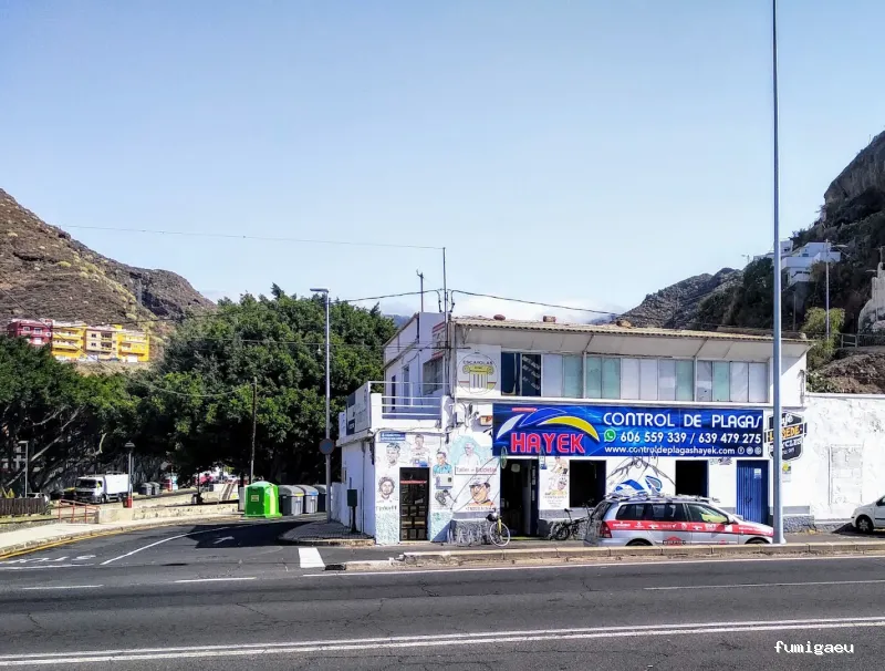 Desinsectaciones Hayek