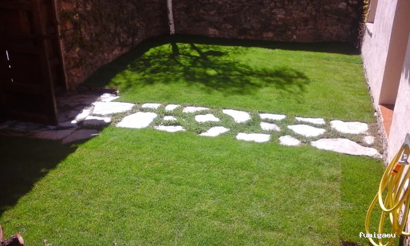 S&S Suministros y Servicios Control de Plagas y Jardinería