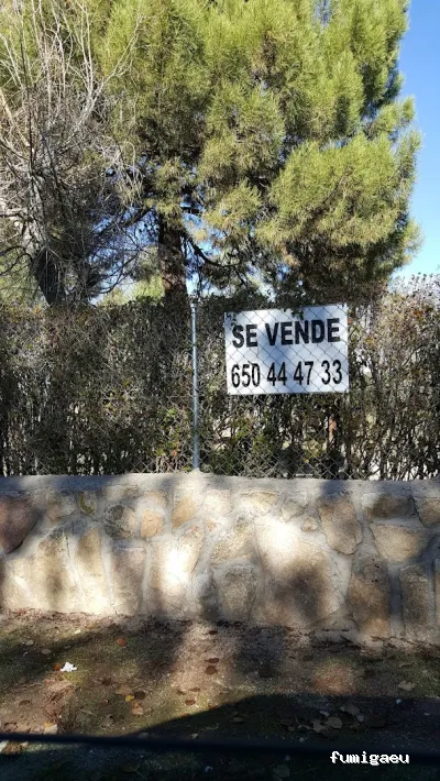 S&S Suministros y Servicios Control de Plagas y Jardinería