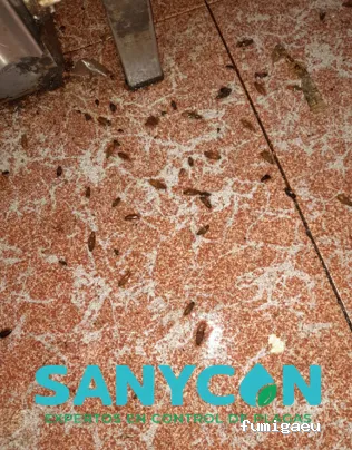 SANYCON