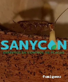 SANYCON