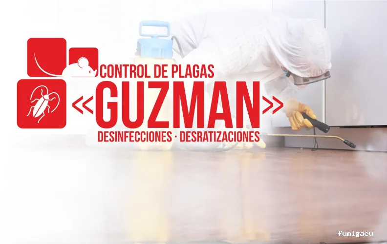 Guzman