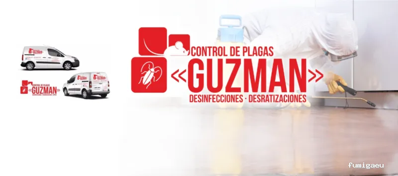 Guzman