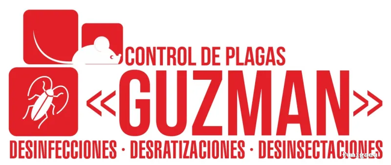 Guzman