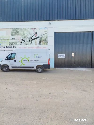 Plaguefit Jaen. Servicio de Control de Plagas