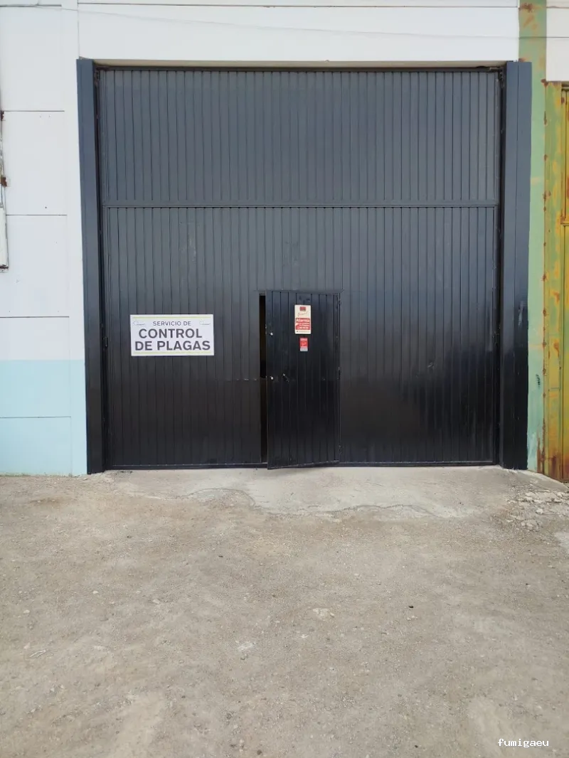 Plaguefit Jaen. Servicio de Control de Plagas