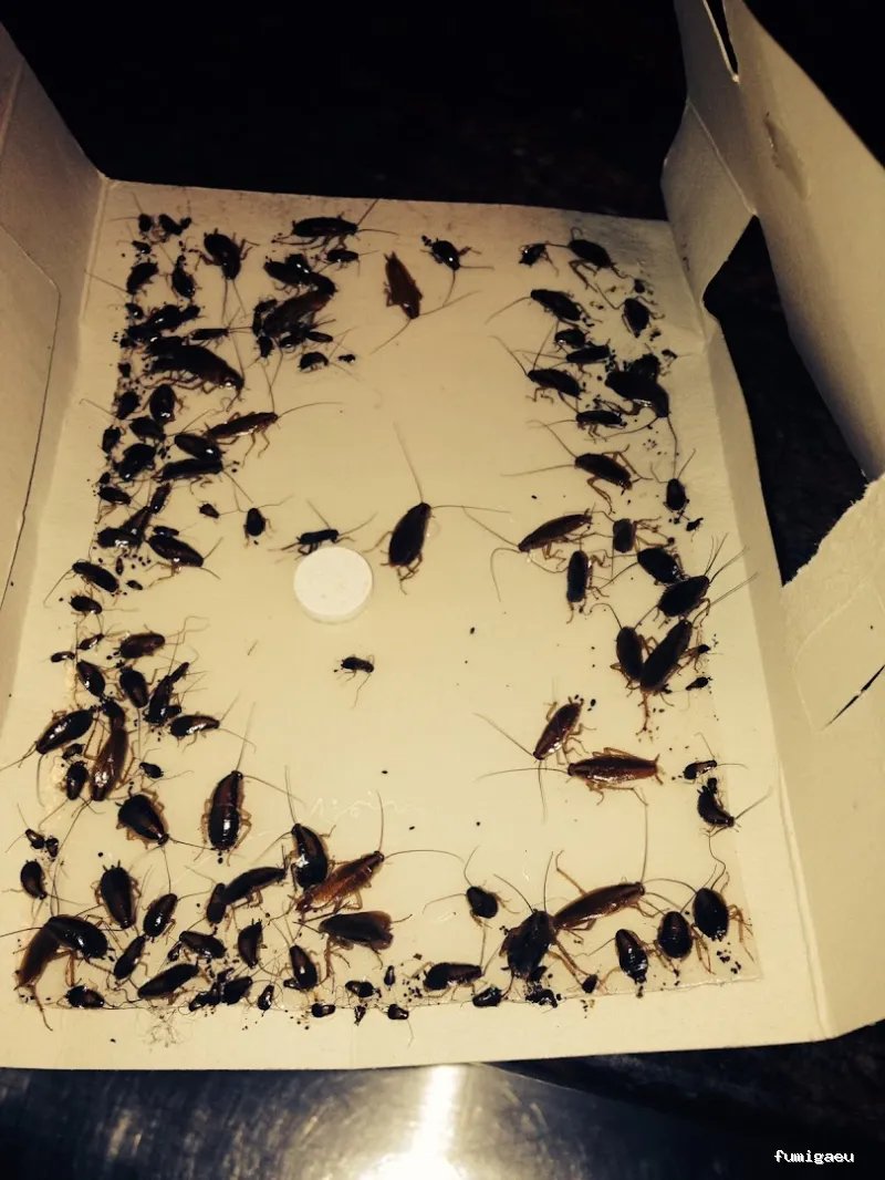 AMBIENTA Espacios Seguros y Protegidos S.L.U.