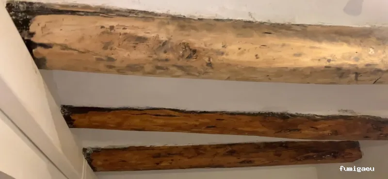 AMBIENTA Espacios Seguros y Protegidos S.L.U.