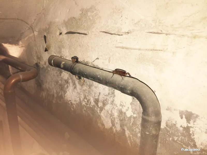 AMBIENTA Espacios Seguros y Protegidos S.L.U.