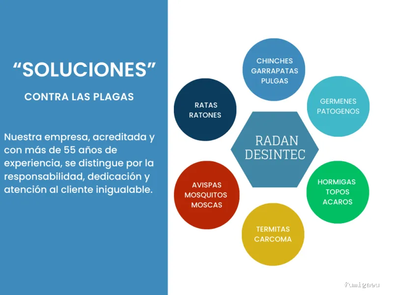 Radan Desintec-Empresa de fumigación y control de plagas