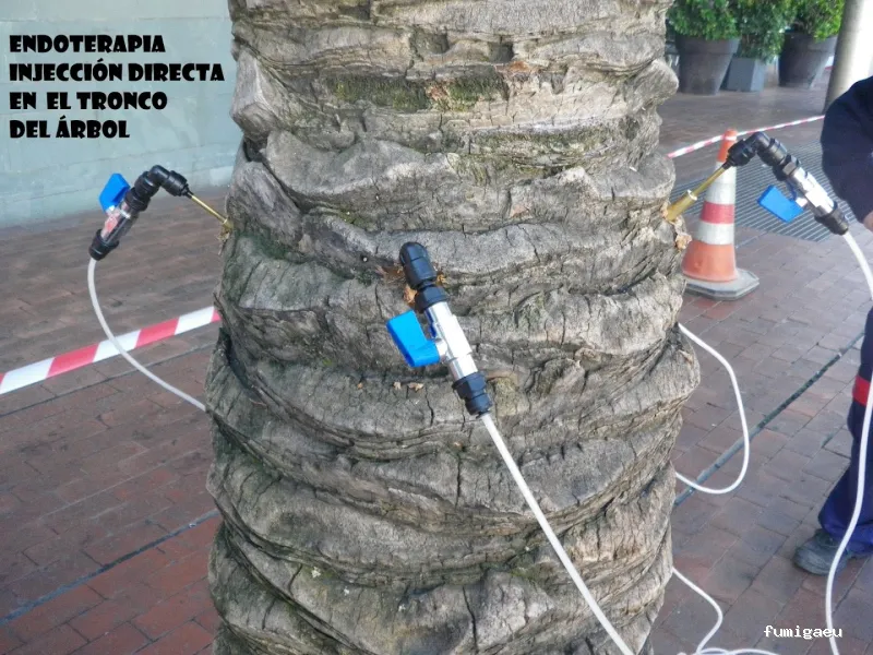 Radan Desintec-Empresa de fumigación y control de plagas