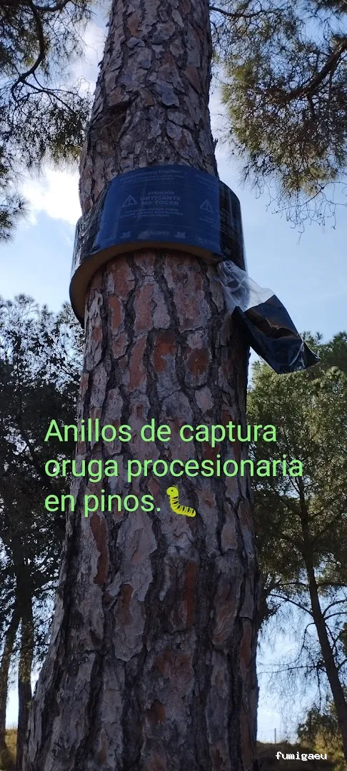 Radan Desintec-Empresa de fumigación y control de plagas