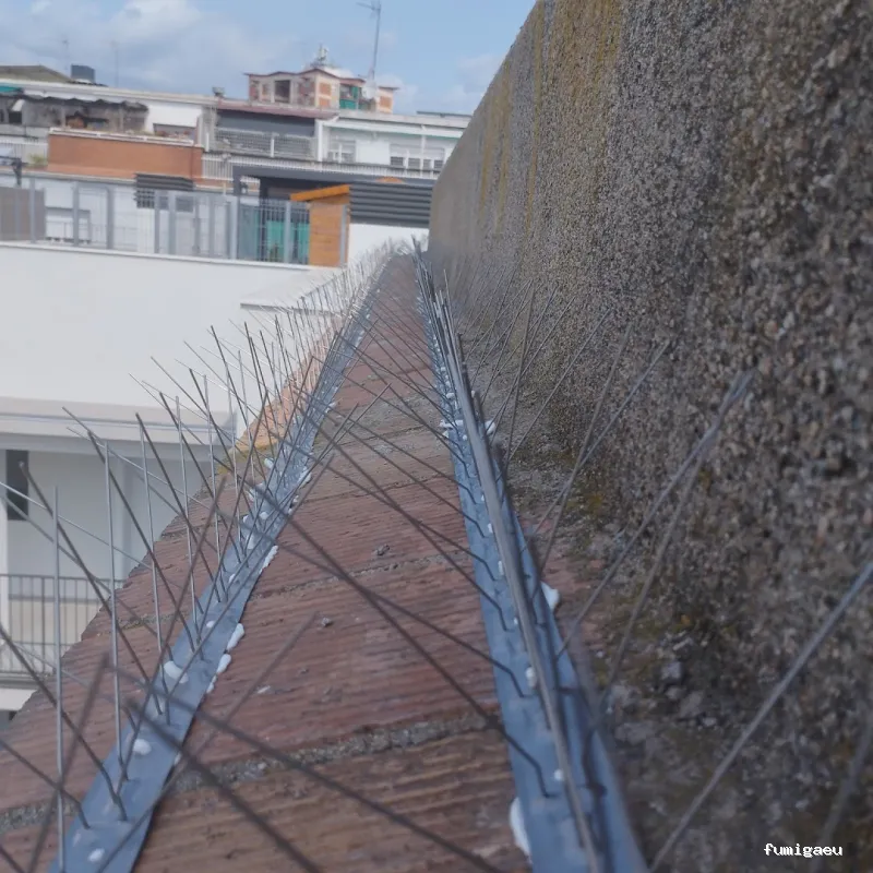 Radan Desintec-Empresa de fumigación y control de plagas