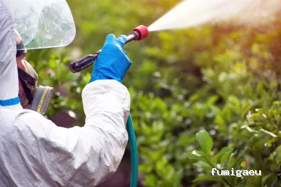 Serbiam - Control de Plagas