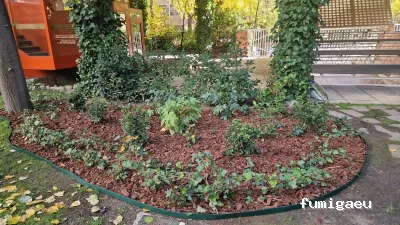 Acondiciona Servicios Ambientales