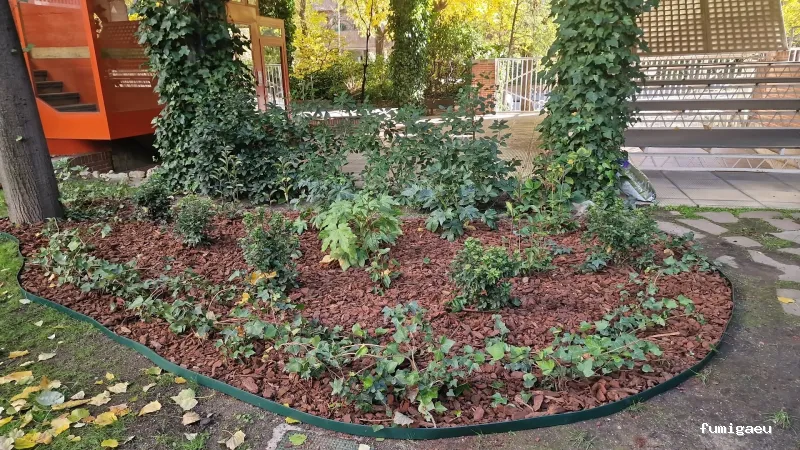 Acondiciona Servicios Ambientales