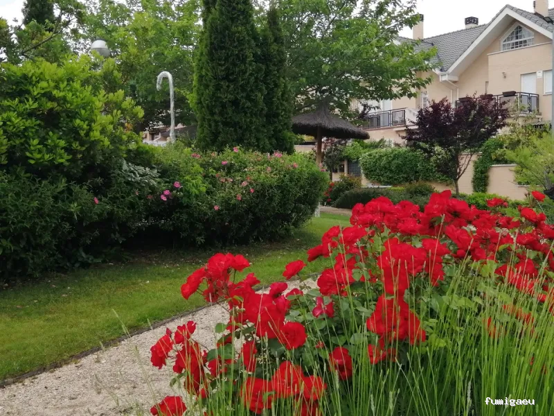 Acondiciona Servicios Ambientales