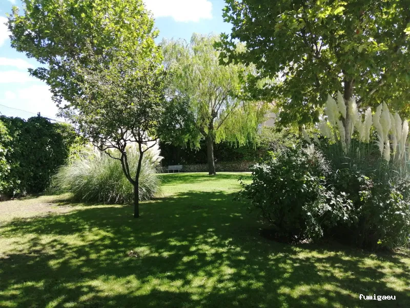 Acondiciona Servicios Ambientales