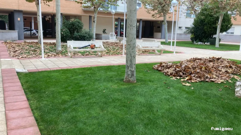 Acondiciona Servicios Ambientales