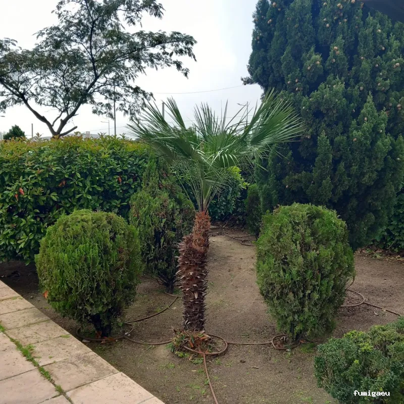 Acondiciona Servicios Ambientales