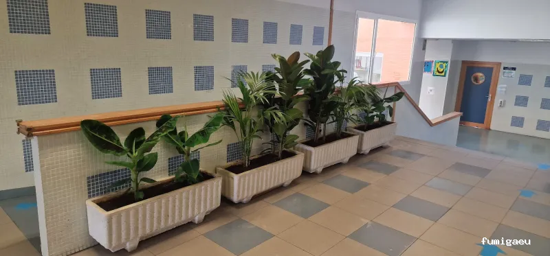 Acondiciona Servicios Ambientales