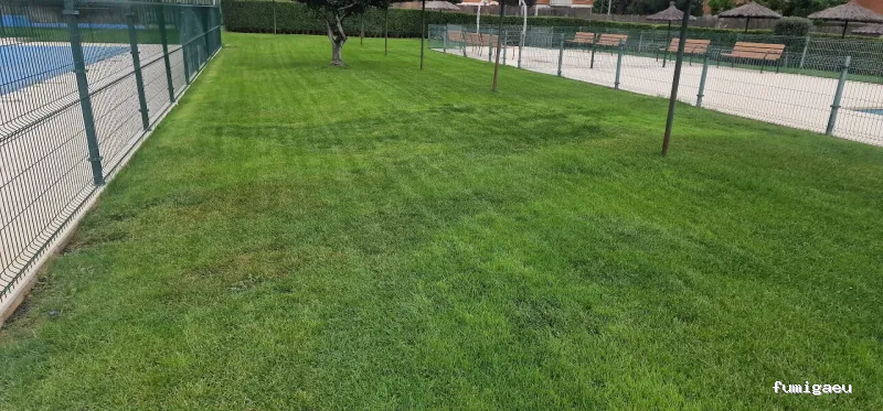 Acondiciona Servicios Ambientales