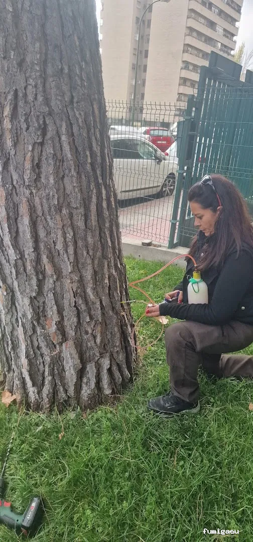 Acondiciona Servicios Ambientales