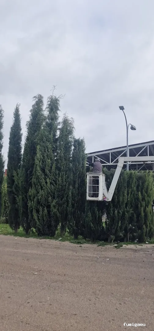 Acondiciona Servicios Ambientales