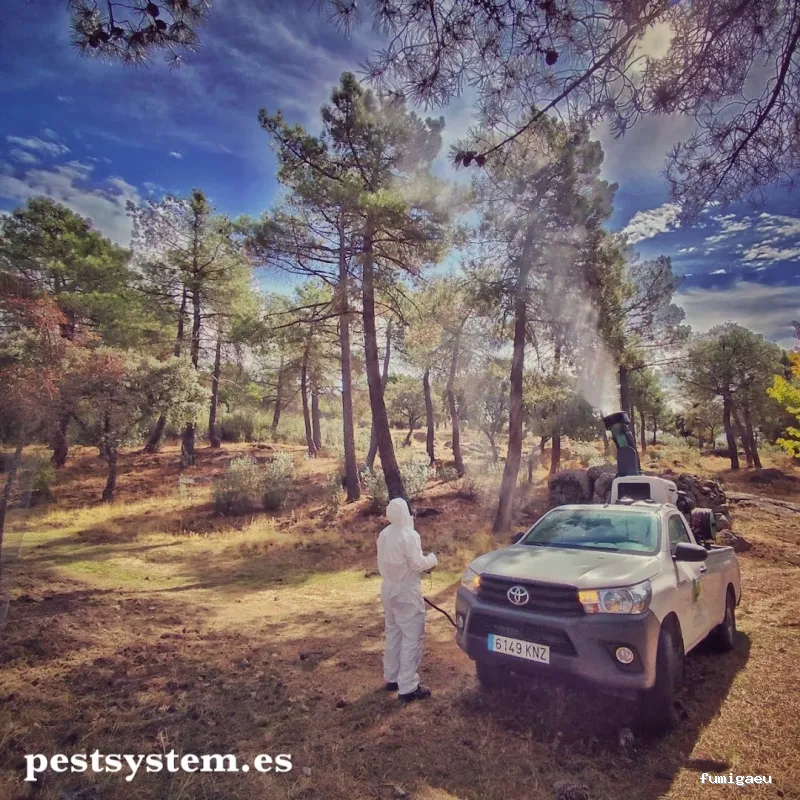 Desratizaciones, Desinsectaciones, Desinfecciones y Fumigaciones Profesionales | Pest System International, SA. | Madrid 1985