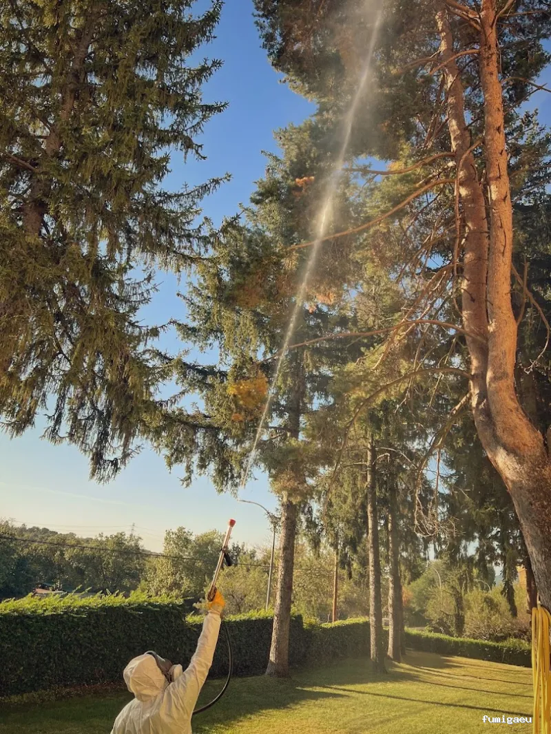 Desratizaciones, Desinsectaciones, Desinfecciones y Fumigaciones Profesionales | Pest System International, SA. | Madrid 1985