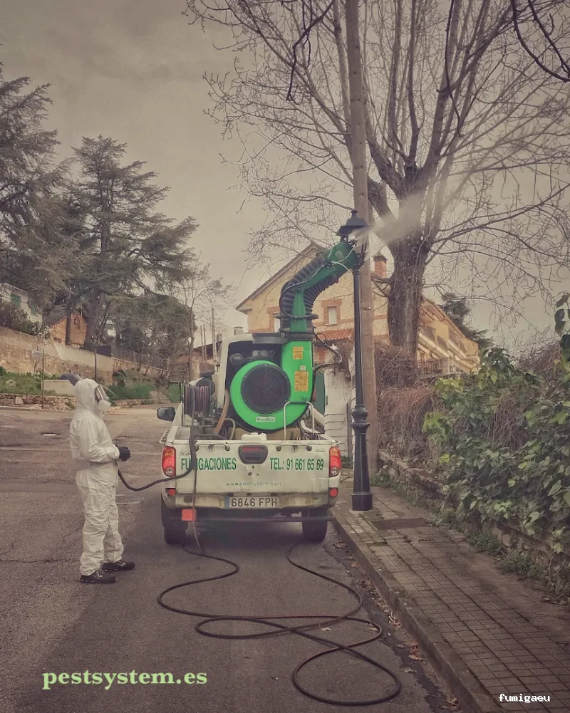 Desratizaciones, Desinsectaciones, Desinfecciones y Fumigaciones Profesionales | Pest System International, SA. | Madrid 1985