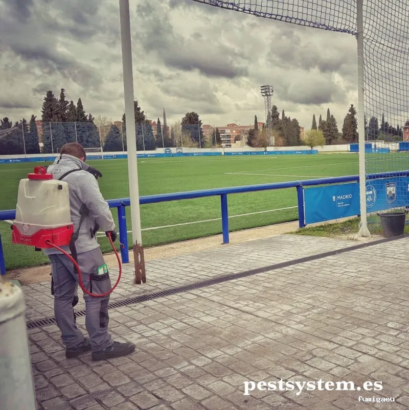 Desratizaciones, Desinsectaciones, Desinfecciones y Fumigaciones Profesionales | Pest System International, SA. | Madrid 1985