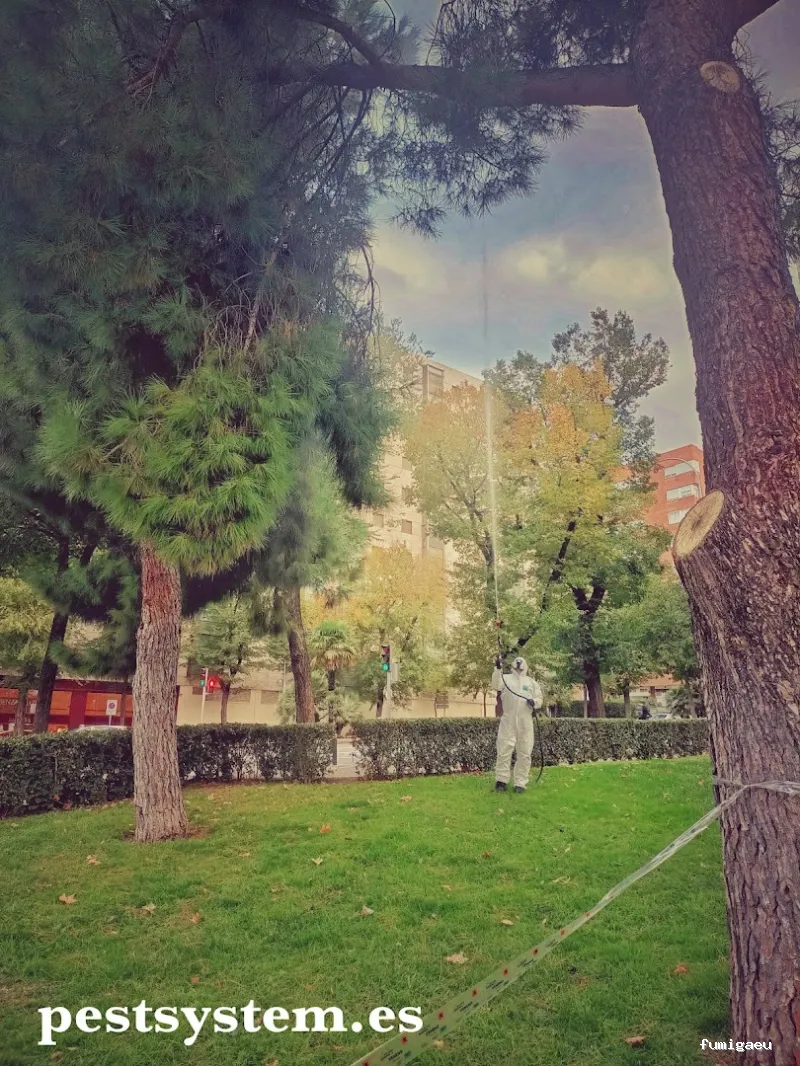 Desratizaciones, Desinsectaciones, Desinfecciones y Fumigaciones Profesionales | Pest System International, SA. | Madrid 1985