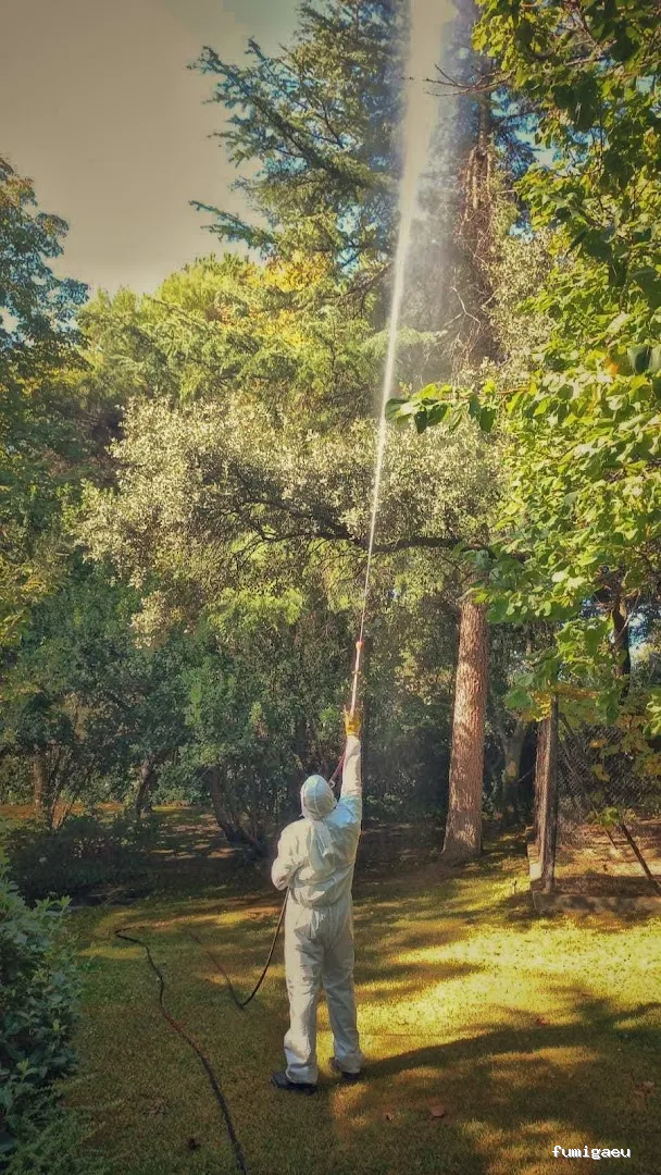 Desratizaciones, Desinsectaciones, Desinfecciones y Fumigaciones Profesionales | Pest System International, SA. | Madrid 1985