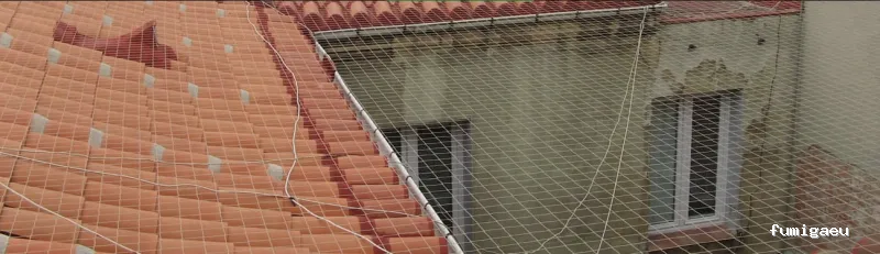 Desratizaciones, Desinsectaciones, Desinfecciones y Fumigaciones Profesionales | Pest System International, SA. | Madrid 1985